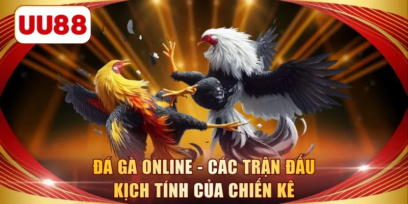 đá gà online