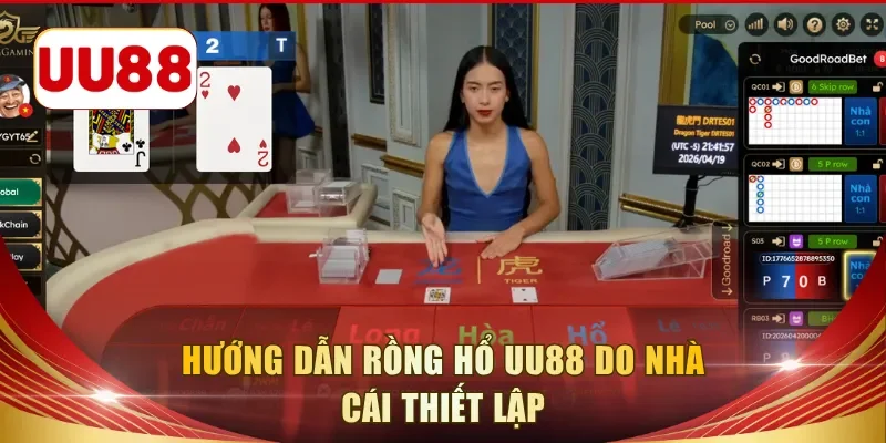 Hướng dẫn rồng hổ UU88 do nhà cái thiết lập