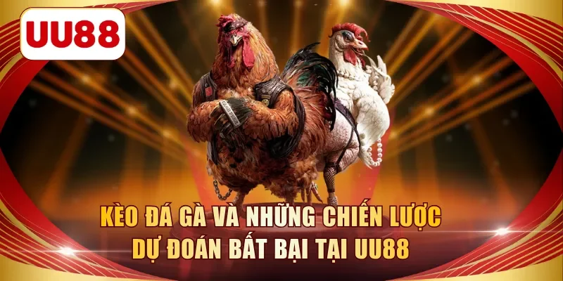 kèo đá gà