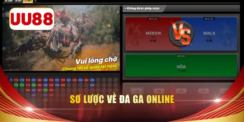 Sơ lược về đá gà online