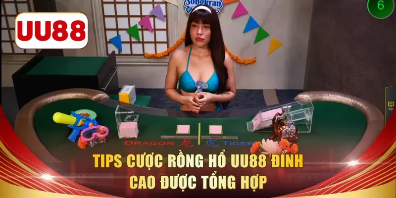 Tips cược rồng hổ UU88 đỉnh cao được tổng hợp