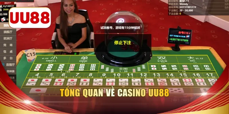 Tổng quan về casino UU88